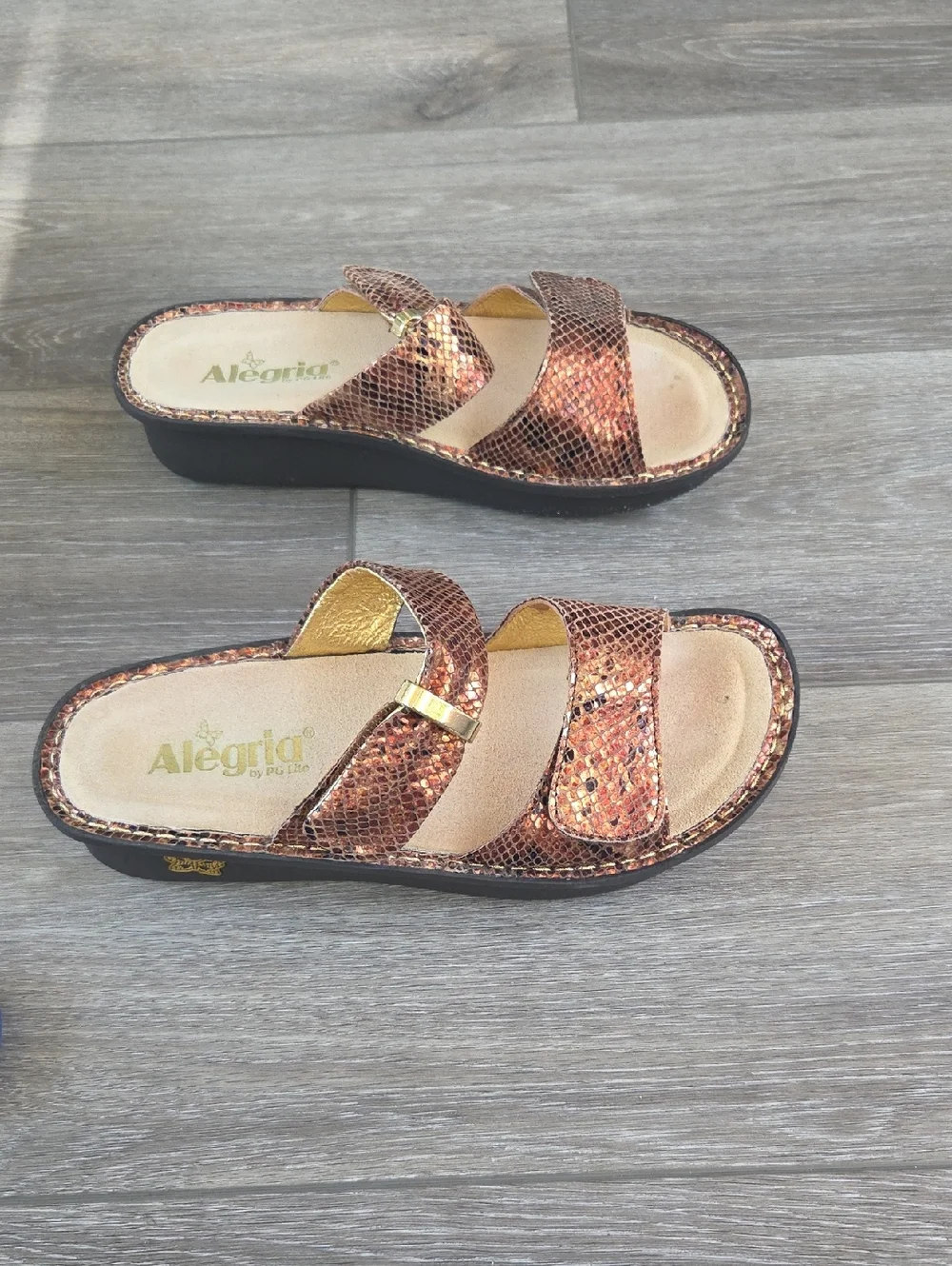 Allegria Metallic Slides 37